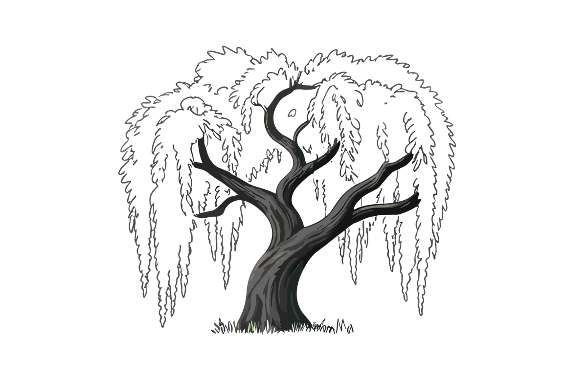 柳の木のイラスト