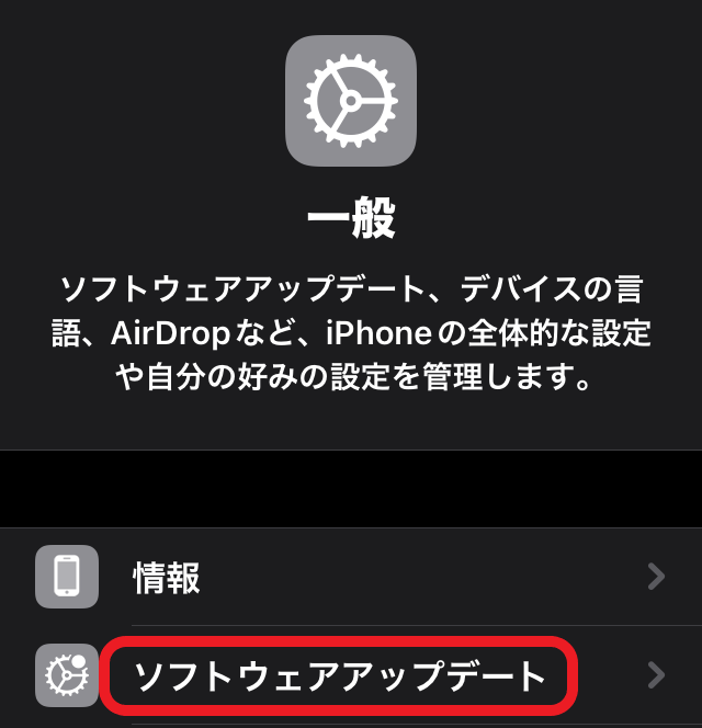 iPhone ソフトウェアアップデート設定画面