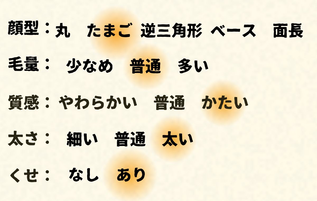 このモデルの顔型や髪質