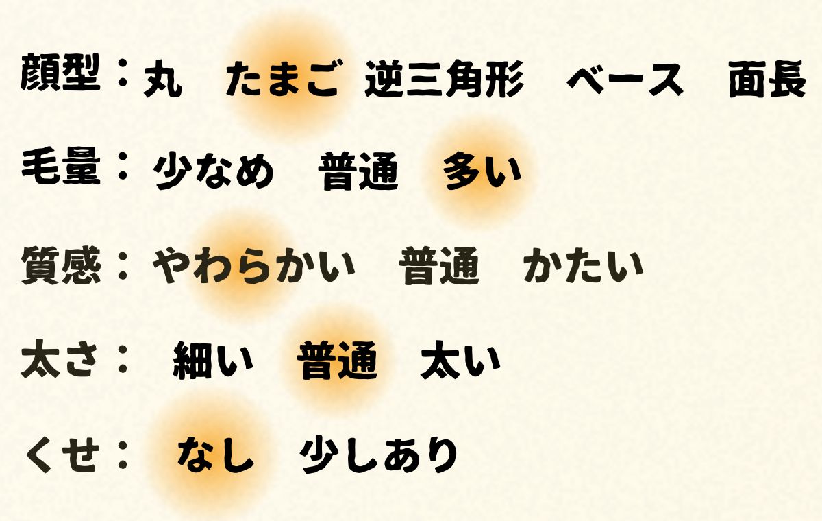このモデルの顔型や髪質
