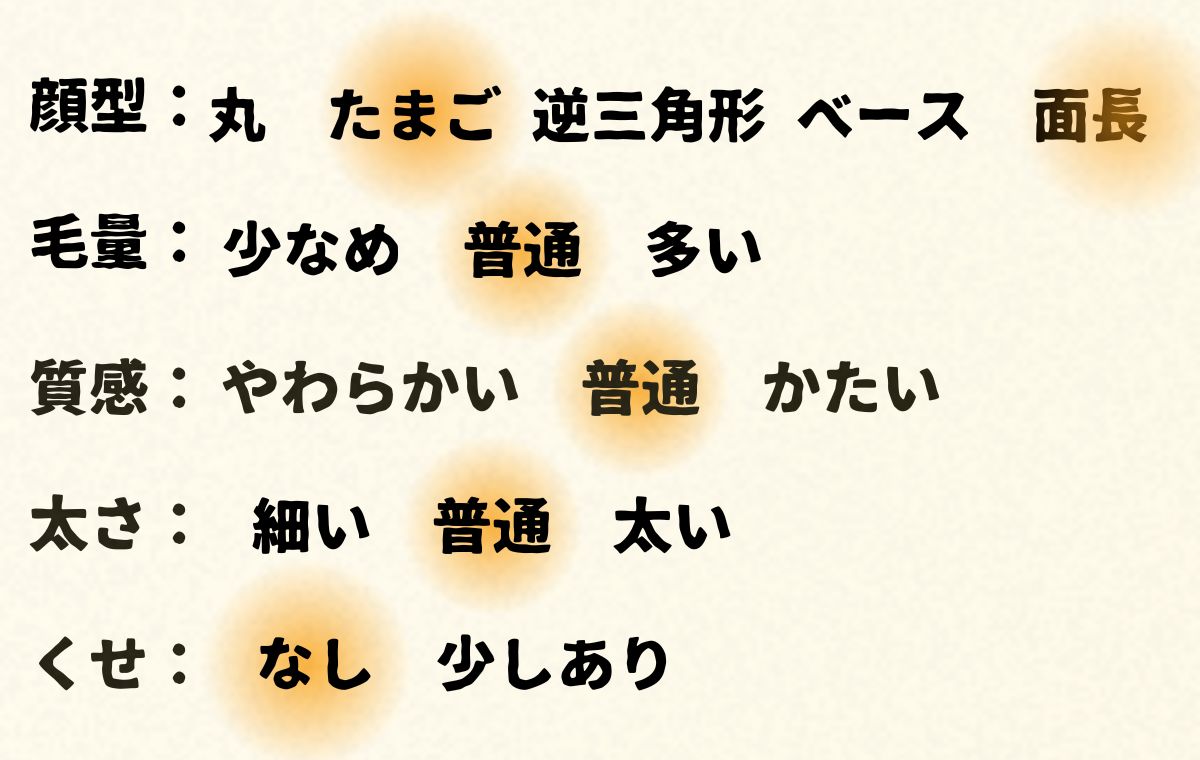 このモデルの顔型や髪質