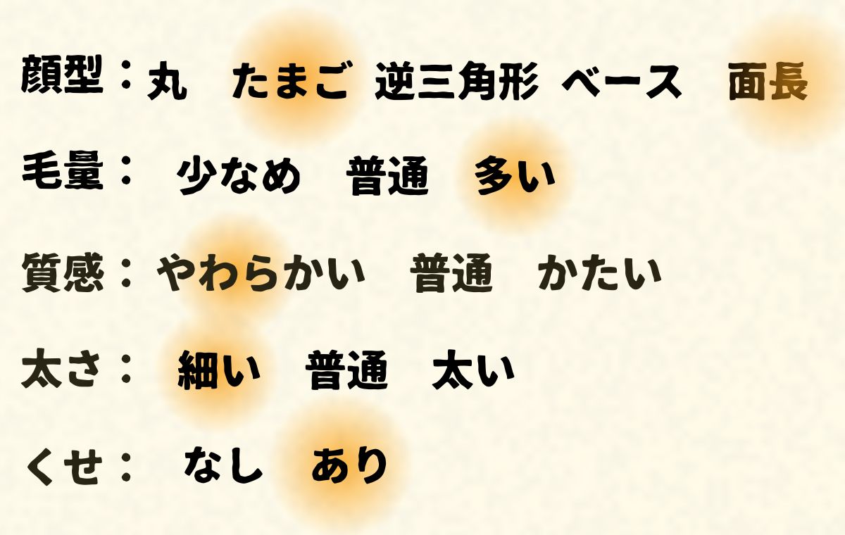 このモデルの顔型や髪質