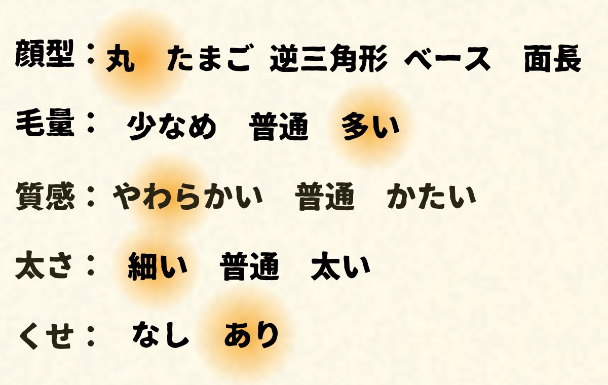 このモデルの顔型や髪質