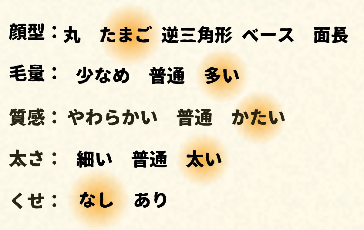 このモデルの顔型や髪質