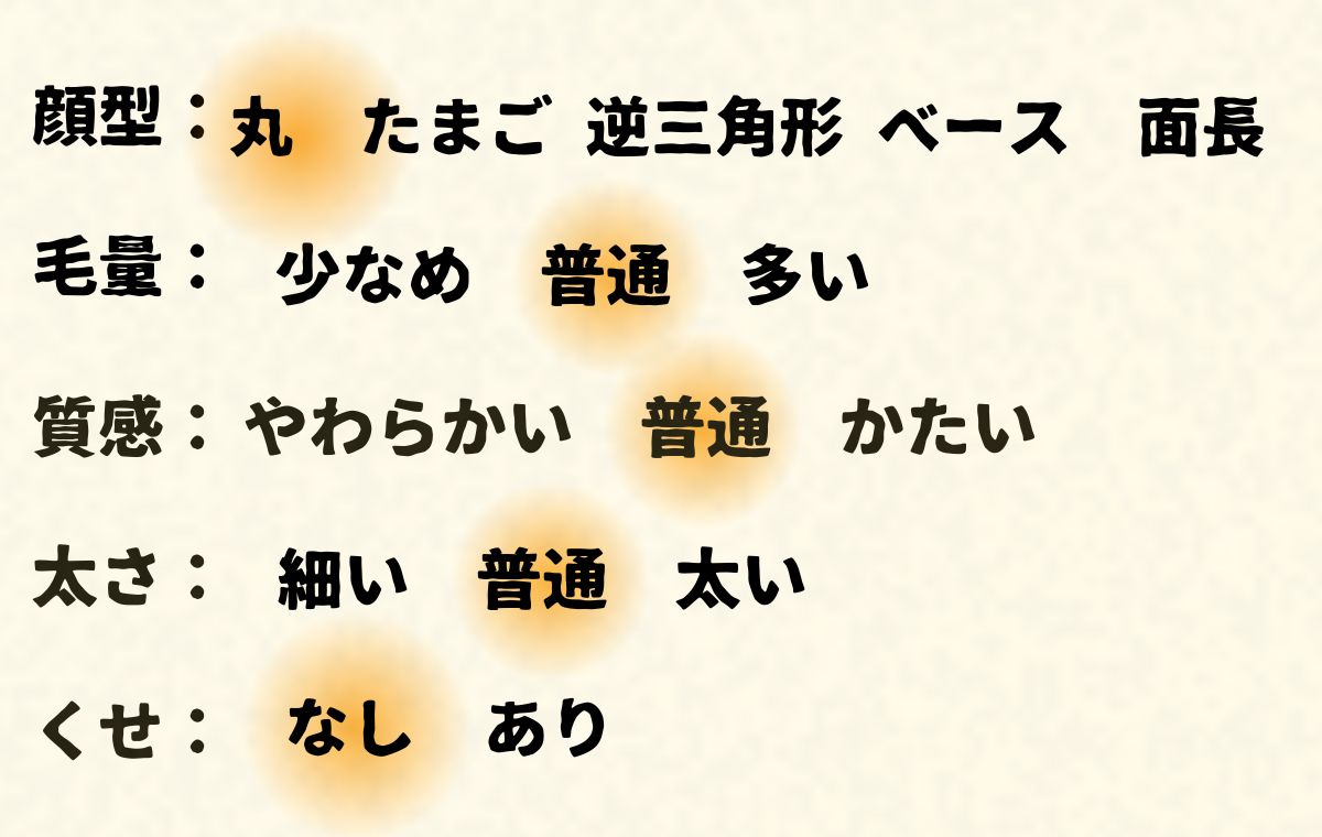 このモデルの顔型や髪質
