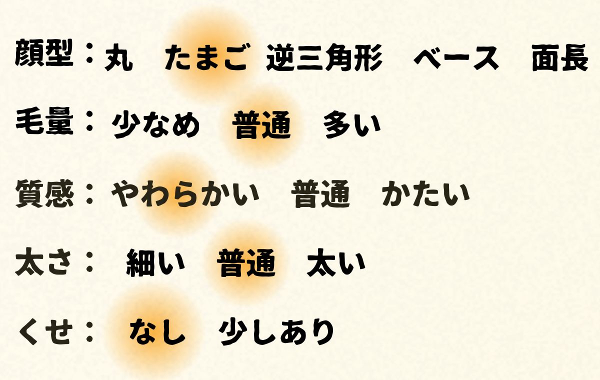 このモデルの顔型や髪質