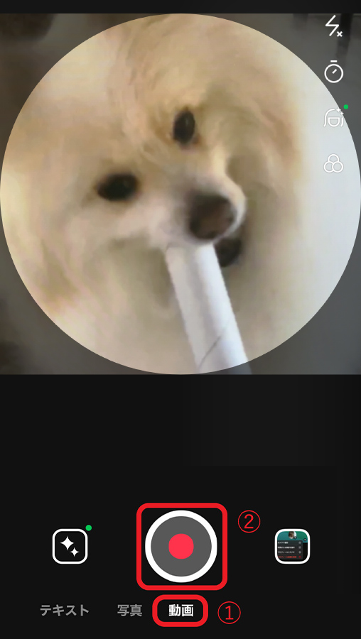 LINEのプロフィール画像設定　動画撮影画面