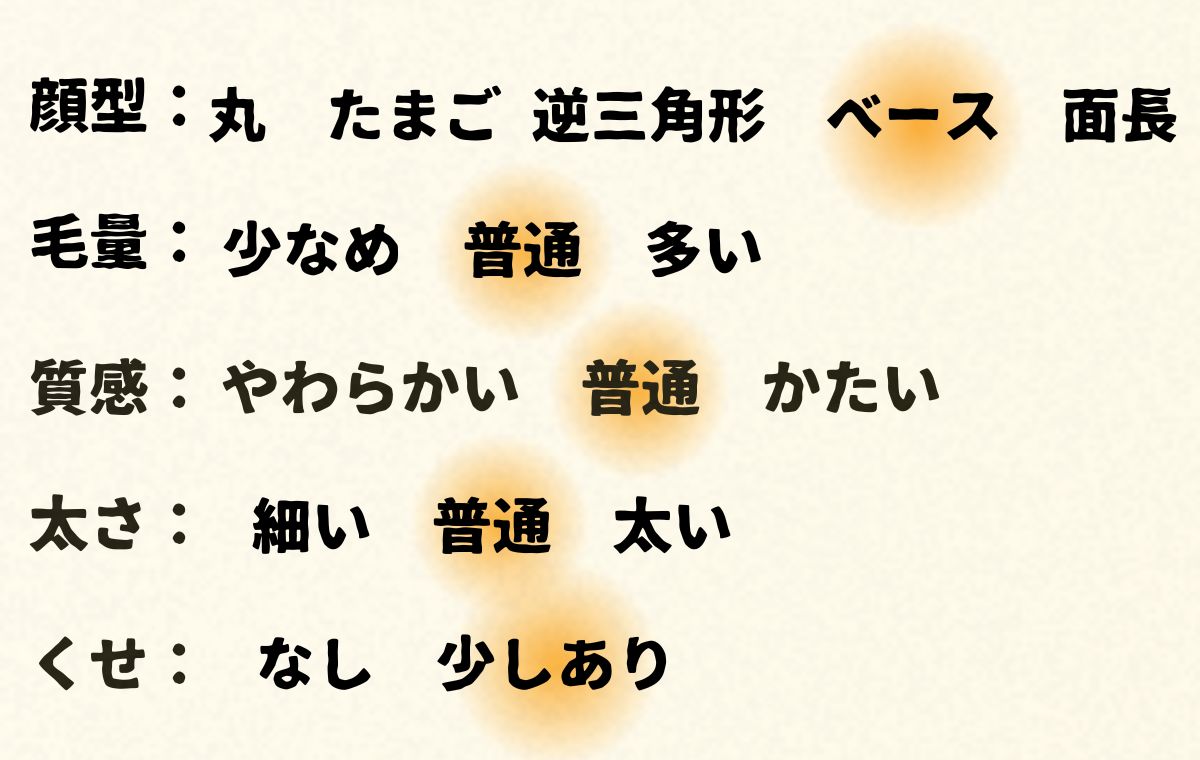 このモデルの顔型や髪質