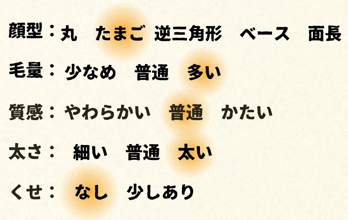 このモデルの顔型や髪質