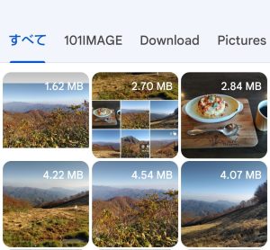 Android Files by Google表示画面