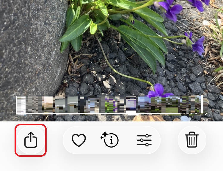 共有ボタンを赤で囲んでいるスクリーンショット