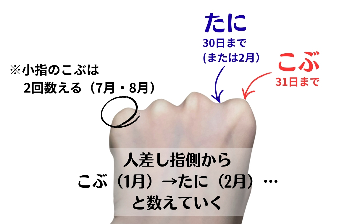 こぶしでの数え方を説明している画像